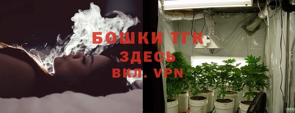 соль ск Алексеевка