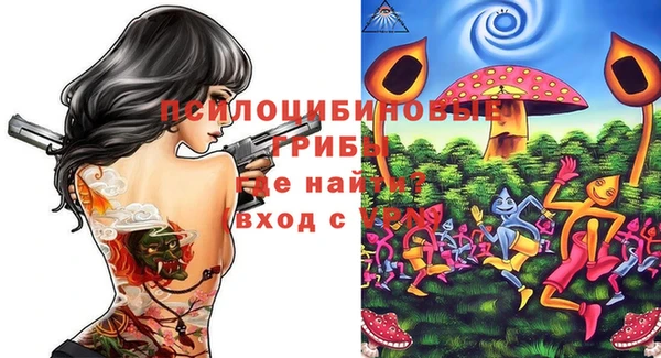 ПСИЛОЦИБИНОВЫЕ ГРИБЫ Алексин
