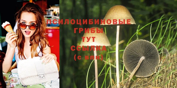 ПСИЛОЦИБИНОВЫЕ ГРИБЫ Алексин