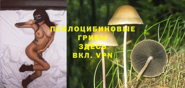 соль ск Алексеевка