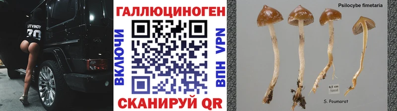 Галлюциногенные грибы Magic Shrooms  Каменск-Уральский 