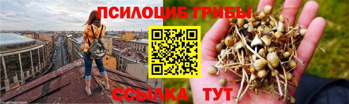Псилоцибиновые грибы мицелий Каменск-Уральский